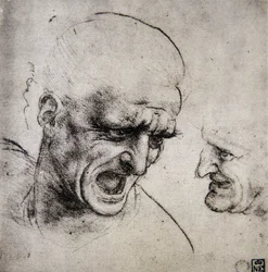 Study for the Battle of Anghiari