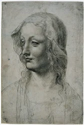 Maestro della Pala Sforzesca, female head with veil perhaps a study for the Virgin