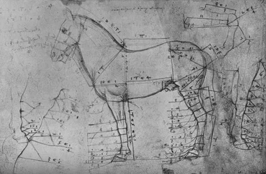 Measured Drawing of a Horse in Profile to the Left, c1480