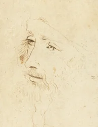 Portrait of Leonardo da Vinci