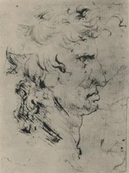 Profile of a Man to the Right