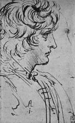 Profile of a Youth to the Right, c1480