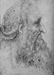 Profile of an Old, Bearded Man to the Right