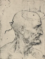 Profile to Right of a Bald Man, c1480, 1945