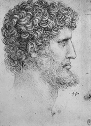 Profile to the Right of a Bearded Man, c1480 1945
