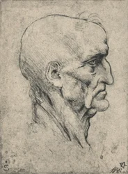 Profile to the Right of an Elderly Bald Man, c1480