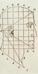 Proportion Study of the Human Head