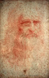 Self Portrait of Leonardo da Vinci