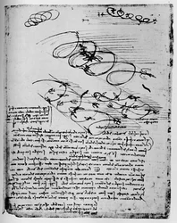 Studies of Birds in Flight When Rising and Circling