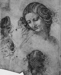 Studies of a Woman
