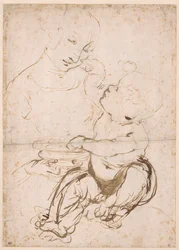 Study for the Madonna with a Fruit Bowl