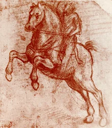 Study of a Knight