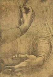 Study of Female Hands