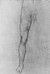 Study of the Lower Half of a Nude Man Facing to the Front, c1480 1945