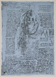 The Heart and the bronchial arteries, facsimile of the Windsor book