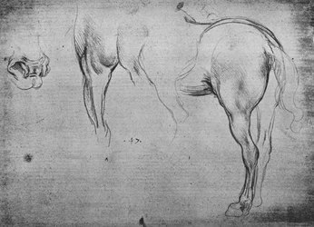 Three Sketches of a Horse