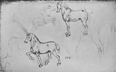 Two Studies of Horses, One of a Galloping Horseman and Others of Horses Legs