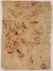 Unknown Image