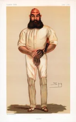 Cricket