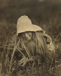Cranberry Picker, New Jersey