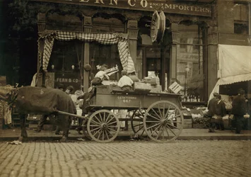 Boys Selling Vegetables at Market, Boston, Massachusetts