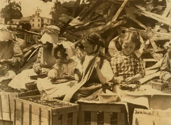 Five-Year-Old Helen and Her Stepsisters Hulling Strawberries for Two Cents a Quart at Johnson