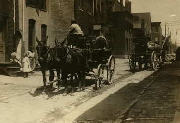 Horse-Drawn Carriages in Fell