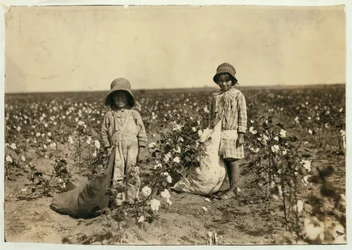 Jewel and Harold Walker, 6 and 5 years old, pick 20 to 25 pounds of cotton a day at Geronimo, Comanche County Oklahoma, 1916