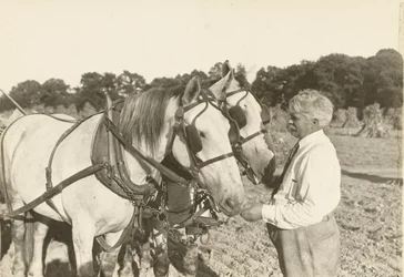 Untitled, ca. 1935