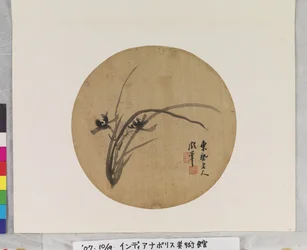 Orchid In Blossom