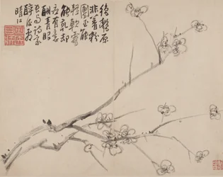Album of Blossoming Plum