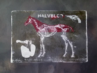 Half Blood Horse