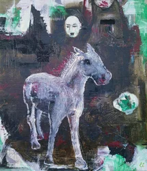 Mysterious White Horse