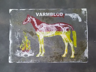 Warmblood Horse Anatomy
