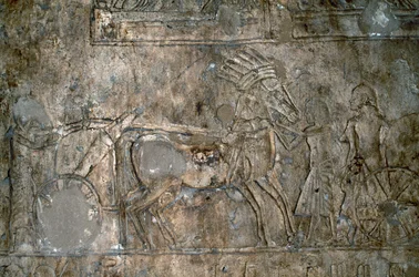 Bas relief with wagon, Necropolis of Tell el-Amarna, Egypt, Egyptian civilization, New Kingdom, Dynasty XVIII