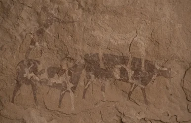 Cattle and Human Figures, Cave Painting, Oued in Djeran, Near Djanet, Tassili n