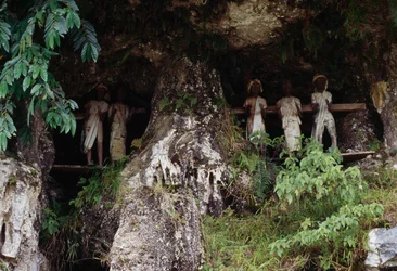 Funeral Niches with Tau Tau Mortuary Figures, Marrante Village, Tana Toraja, Sulawesi Island, Indonesia