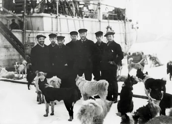 General staff of schooner Stella Polare