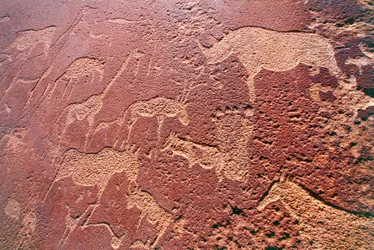 Stone Age Rock Engravings, Twyfelfontein, Brandberg Mountains, Damaraland Wilderness Area, Namibia
