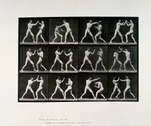 Nude Male Athletes Boxing
