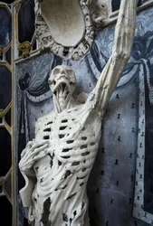 Flayed, or The Skeleton
