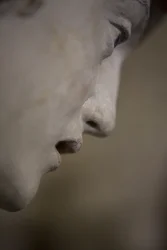 Holy woman in a bonnet