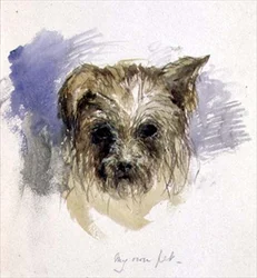 My Pet Dog