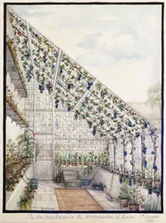 The Two Grape Houses in the Kitchen Garden, Aynhoe