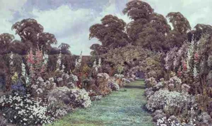 Summer Borders