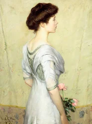 The Pink Rose