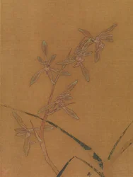 Orchids, second quarter of the 13th century