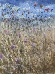 Cow Parsley 1