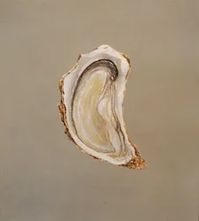 Oyster 2