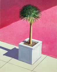 Small palm